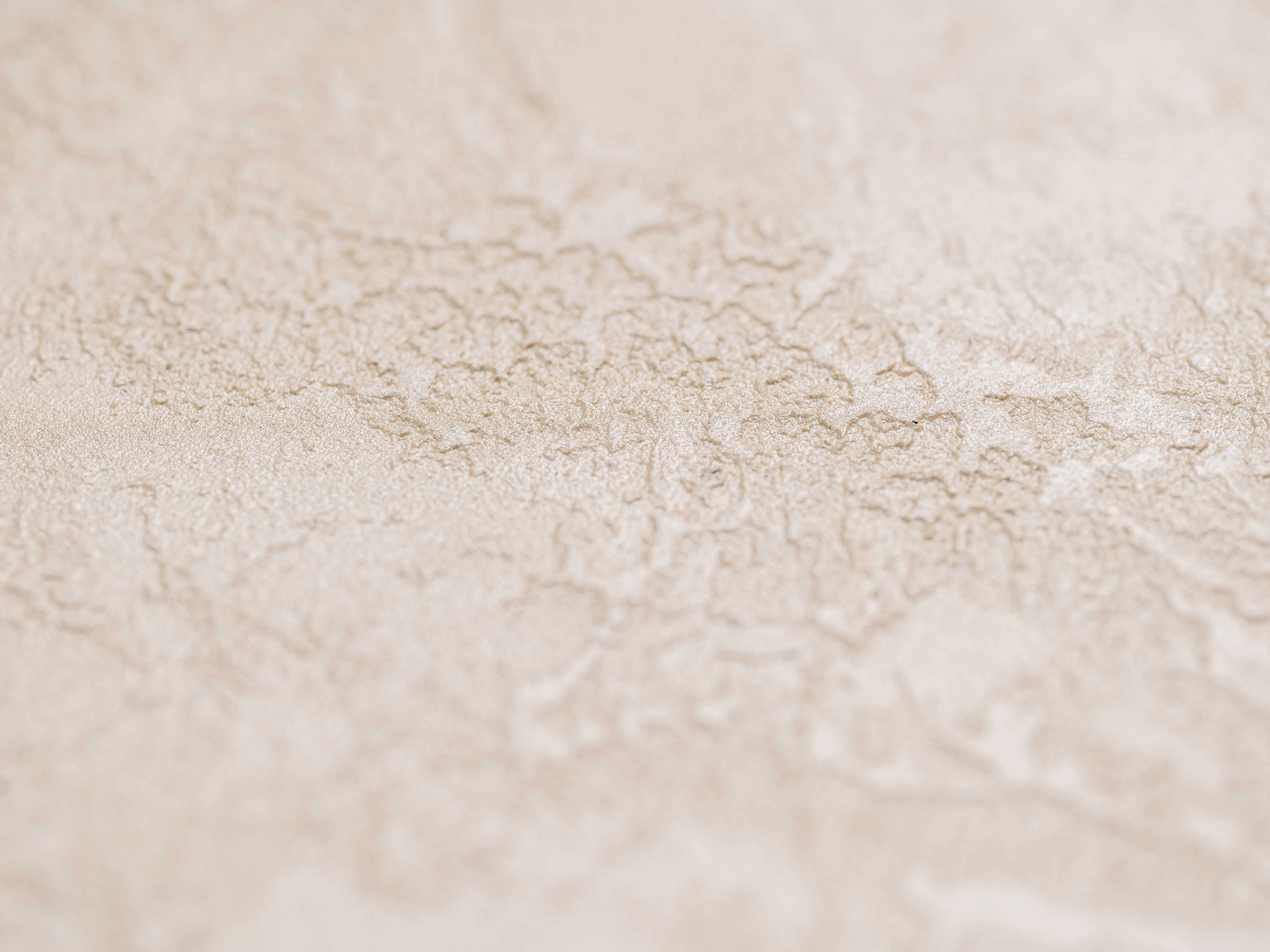 Concrete wall finish / Concrete effect plaster 20 kg - Creamy - Complete kit with primer and glossy varnish