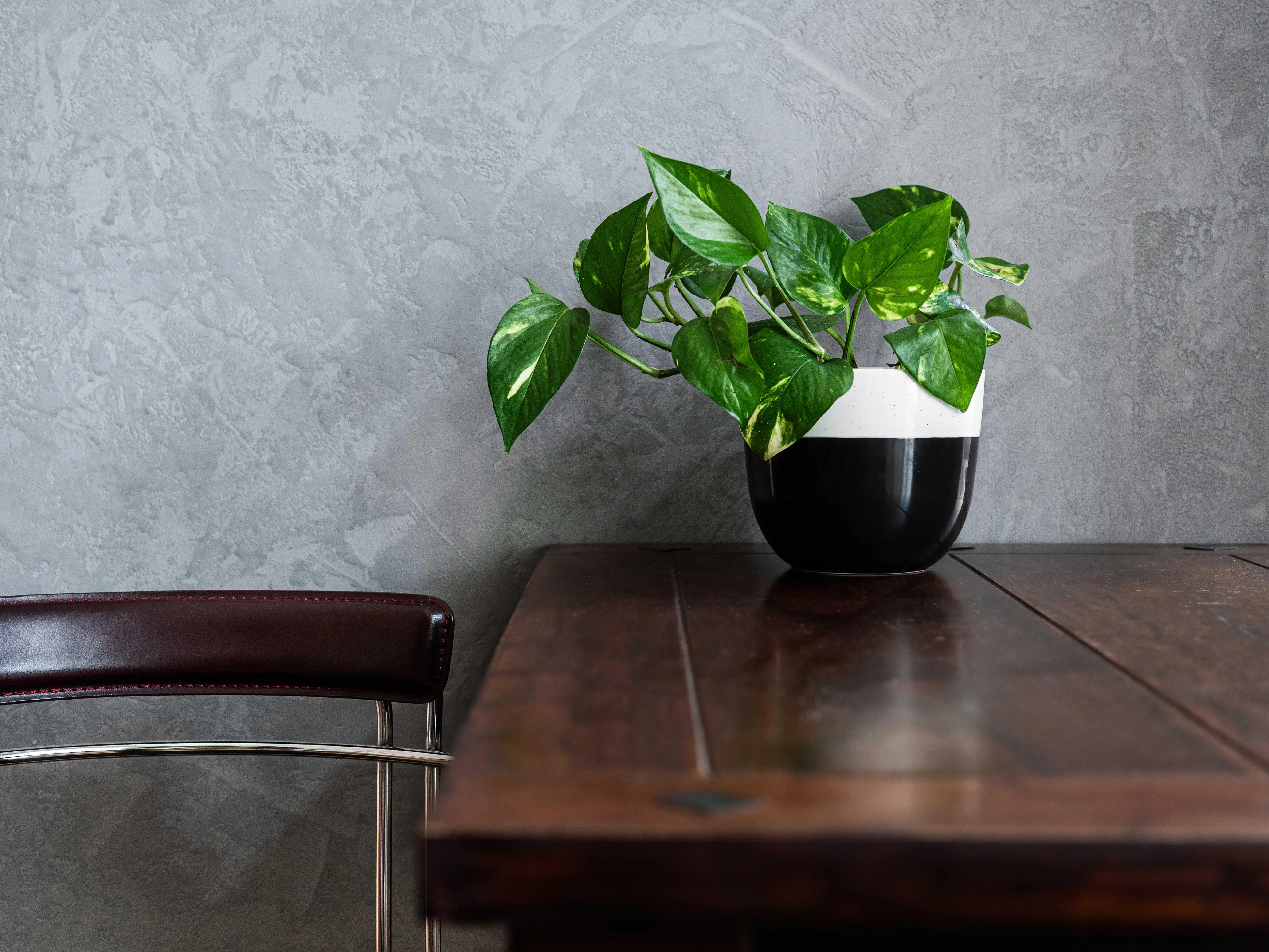 Concrete wall finish / Concrete effect plaster 20 kg - Light grey - Complete kit with primer and final varnish