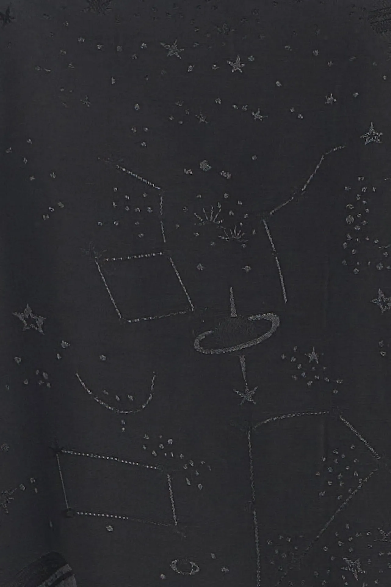 DANIELLA PANT - Space View