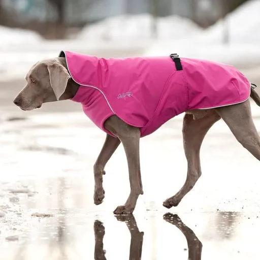 Rain Coat for Large Dogs- "Harbour Slicker" by Chilly Dogs
