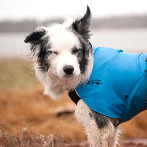 Rain Coat for Large Dogs- "Harbour Slicker" by Chilly Dogs