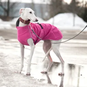 Rain Coat for Long & Lean Dogs - "Harbour Slicker" by Chilly Dogs